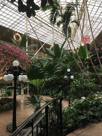 Cascades American Cafe